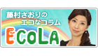 藤村さおり