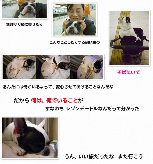 “俺”の旅～ウリ坊（フレンチドッグ♂７才半）と島田彩夏のレゾンデートルを求めて～