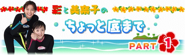 �ʂƔ��ގq�́@������ƒ�܂Ł@�o�`�q�s�P
