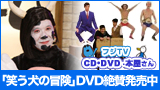『笑う犬の冒険』DVD絶賛発売中