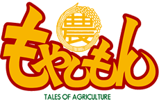 ＜ノイタミナ＞もやしもん
