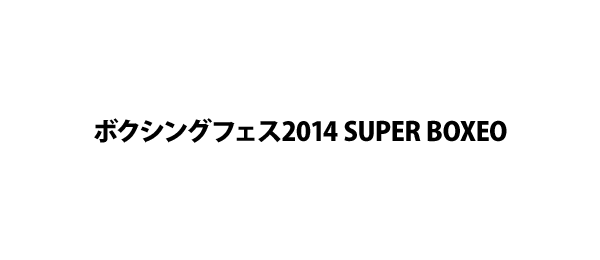 ボクシングフェス2014 SUPER BOXEO