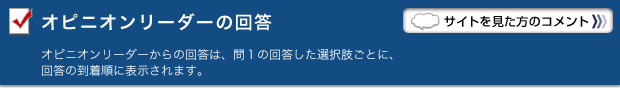 オピニオンリーダーの回答