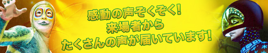 感動の声ぞくぞく!来場者からたくさんの声が届いています!
