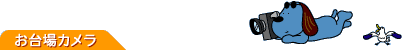 �����J����