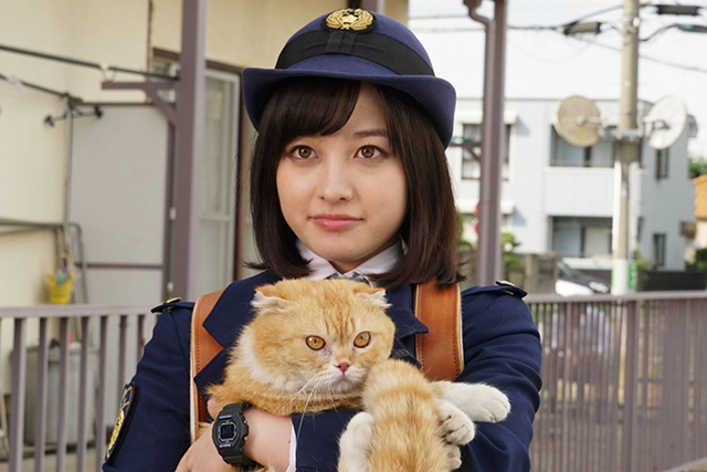「警視庁いきもの係」的圖片搜尋結果