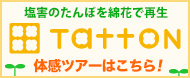 TATTON　コラボTシャツはこちら
