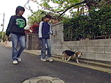 ロッキー 写真4