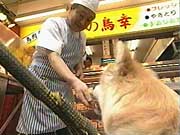 こまち こまち