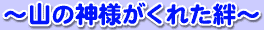 『石段の街』