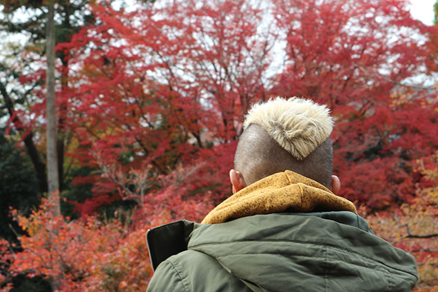 本日は古都・京都でまさに見頃真っ盛りの紅葉スポットをご紹介でございます。