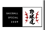 BASEBALL SPECIAL 2008�`�싅���`