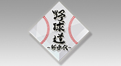 野球道2012