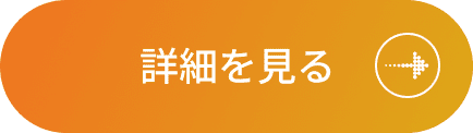 詳しく見る