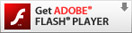 Get ADOBE FLASH PLAYER