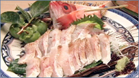 のどぐろの刺身