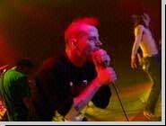 SAFARI on STAGE