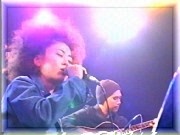 bird on STAGE
