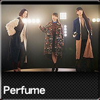 Perfume