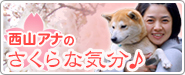 西山アナのさくらな気分♪