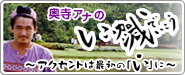 奥寺アナの「いい加減でいこう」