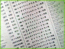 ゼッケン表 ゼッケン表