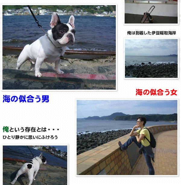 “俺”の旅～ウリ坊（フレンチドッグ♂７才半）と島田彩夏のレゾンデートルを求めて～