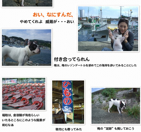 “俺”の旅～ウリ坊（フレンチドッグ♂７才半）と島田彩夏のレゾンデートルを求めて～