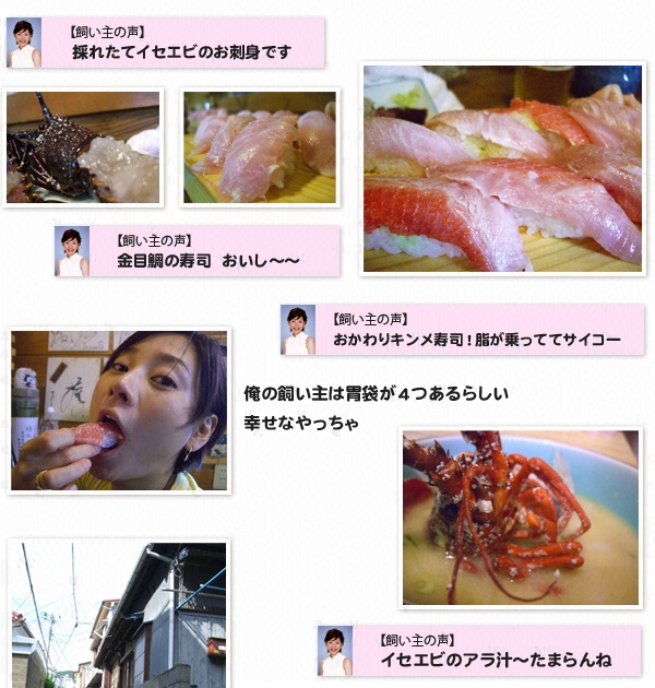 “俺”の旅～ウリ坊（フレンチドッグ♂７才半）と島田彩夏のレゾンデートルを求めて～