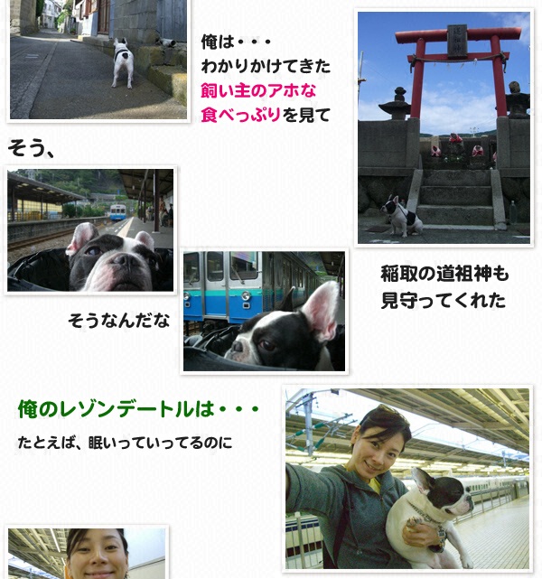 “俺”の旅～ウリ坊（フレンチドッグ♂７才半）と島田彩夏のレゾンデートルを求めて～