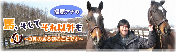 「馬、そしてそれ以外も」#1 ~3月のある朝のことです~ 「馬、そしてそれ以外も」#1 ~3月のある朝のことです~