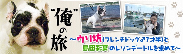 “俺”の旅～ウリ坊（フレンチドッグ♂７才半）と島田彩夏のレゾンデートルを求めて～