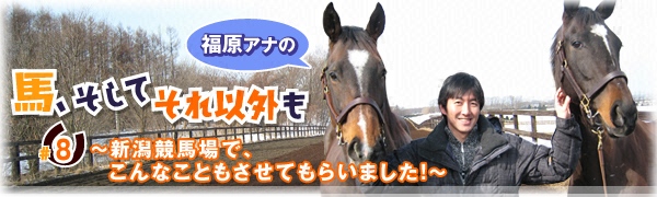 「馬、そしてそれ以外も」#8 ~新潟競馬場で、こんなこともさせてもらいました!~ 「馬、そしてそれ以外も」#8 ~新潟競馬場で、こんなこともさせてもらいました!~