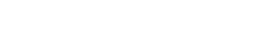 実施概要