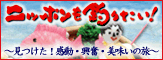 オフィシャルサイト