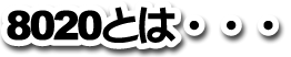 8020Ƃ