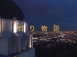 蕨