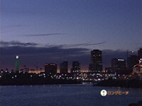 蕨