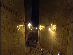 蕨