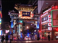 蕨