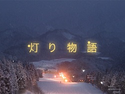 蕨
