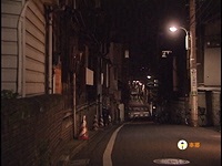 蕨