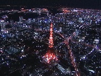 蕨