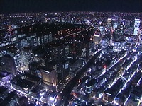 蕨