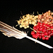 ��ΐF�̃W����