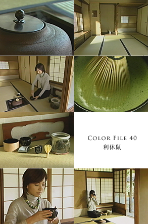 COLOR FILE 40 利休鼠 COLOR FILE 40 利休鼠