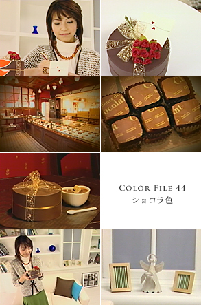 COLOR FILE 44 ショコラ色 COLOR FILE 44 ショコラ色