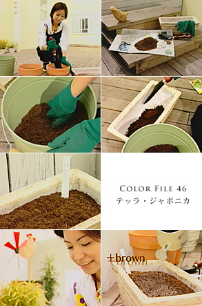 COLOR FILE 46 テッラ・ジャポニカ COLOR FILE 46 テッラ・ジャポニカ