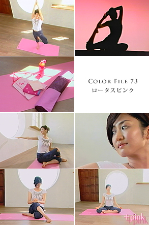 COLOR FILE 73 ロータスピンク COLOR FILE 73 ロータスピンク