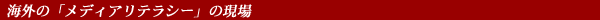 CÓufBAeV[v̌